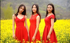 性瘾日记百度影音